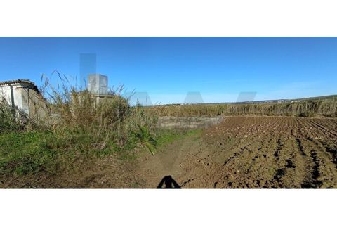 Helårsgrund i Torres Vedras, Lisbon, Torres Vedras - € 95.000 | Ref: KWPT-013902 - foto 2