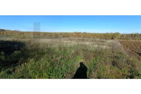 Helårsgrund i Torres Vedras, Lisbon, Torres Vedras - € 95.000 | Ref: KWPT-013902 - foto 5