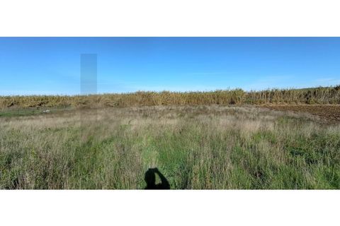 Helårsgrund i Torres Vedras, Lisbon, Torres Vedras - € 95.000 | Ref: KWPT-013902 - foto 6