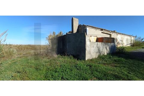 Helårsgrund i Torres Vedras, Lisbon, Torres Vedras - € 95.000 | Ref: KWPT-013902 - foto 8