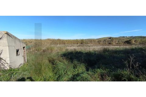 Helårsgrund i Torres Vedras, Lisbon, Torres Vedras - € 95.000 | Ref: KWPT-013902 - foto 10