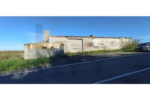 Helårsgrund i Torres Vedras, Lisbon, Torres Vedras - € 95.000 | Ref: KWPT-013902 - foto 12