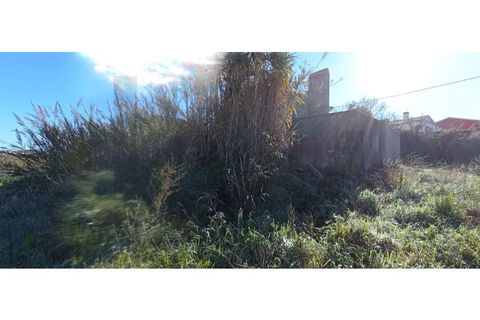 Helårsgrund i Torres Vedras, Lisbon, Torres Vedras - € 95.000 | Ref: KWPT-013902 - foto 13