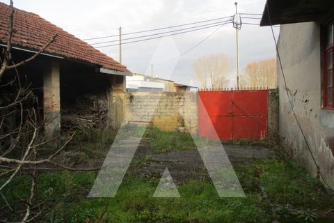 Villa i Oliveira do Bairro, Aveiro, Oliveira do Bairro - € 95.000 | Ref: 1051302/25 OB - foto 12