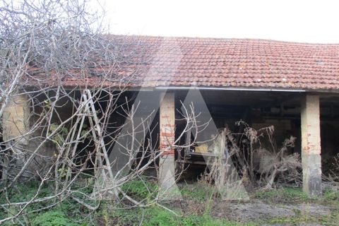 Villa i Oliveira do Bairro, Aveiro, Oliveira do Bairro - € 95.000 | Ref: 1051302/25 OB - foto 13