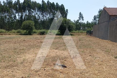 Villa i Oliveira do Bairro, Aveiro, Oliveira do Bairro - € 95.000 | Ref: 1051302/25 OB - foto 15