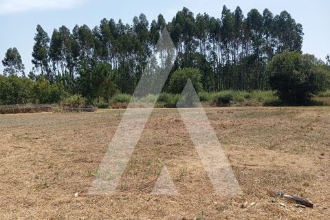 Villa i Oliveira do Bairro, Aveiro, Oliveira do Bairro - € 95.000 | Ref: 1051302/25 OB - foto 16
