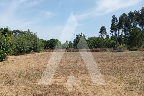 Villa i Oliveira do Bairro, Aveiro, Oliveira do Bairro - € 95.000 | Ref: 1051302/25 OB - foto 17