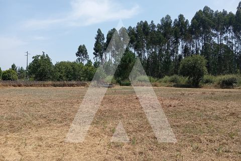 Villa i Oliveira do Bairro, Aveiro, Oliveira do Bairro - € 95.000 | Ref: 1051302/25 OB - foto 18