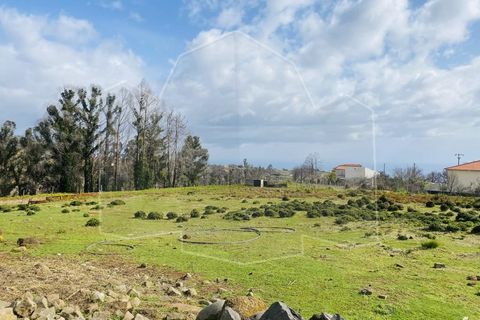 Helårsgrund i Calheta, Madeira, Calheta - € 225.000 | Ref: TER_328 - foto 2