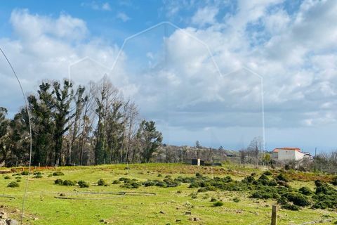 Helårsgrund i Calheta, Madeira, Calheta - € 225.000 | Ref: TER_328 - foto 5