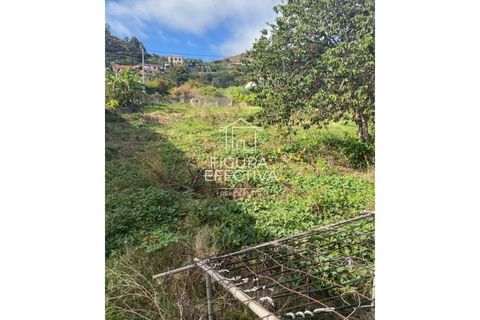 Helårsgrund i Ribeira Brava, Madeira, Ribeira Brava - € 150.000 | Ref: PAR_204 - foto 2