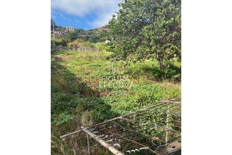 Helårsgrund i Ribeira Brava, Madeira, Ribeira Brava - € 150.000 | Ref: PAR_204 - foto 3