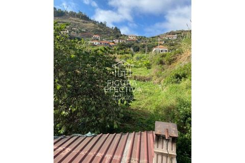 Helårsgrund i Ribeira Brava, Madeira, Ribeira Brava - € 150.000 | Ref: PAR_204 - foto 4