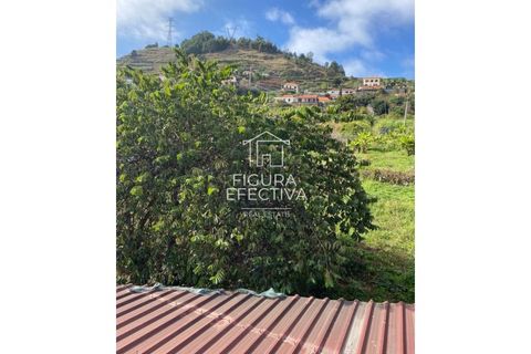 Helårsgrund i Ribeira Brava, Madeira, Ribeira Brava - € 150.000 | Ref: PAR_204 - foto 5