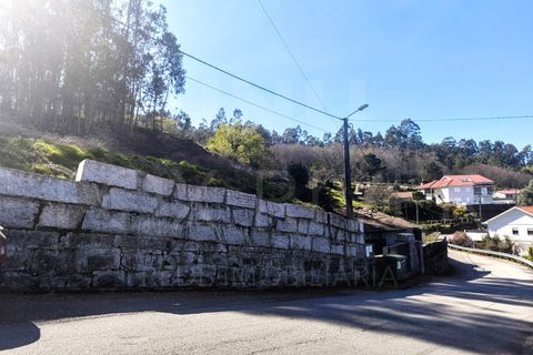Helårsgrund i Valenca, Viana do Castelo, Valenca - € 25.000 | Ref: F1-07-26 - foto 2
