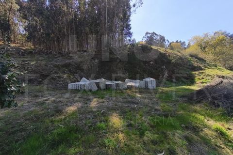 Helårsgrund i Valenca, Viana do Castelo, Valenca - € 25.000 | Ref: F1-07-26 - foto 5