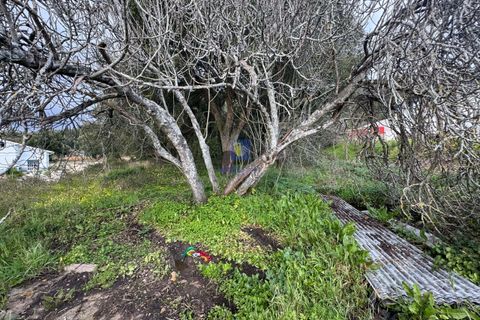 Helårsgrund i Rio Maior, Santarem, Rio Maior - € 75.000 | Ref: CAL-216735 - foto 2