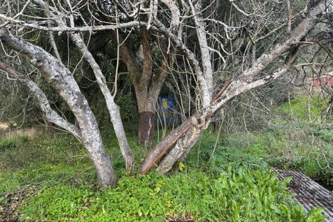 Helårsgrund i Rio Maior, Santarem, Rio Maior - € 75.000 | Ref: CAL-216735 - foto 3