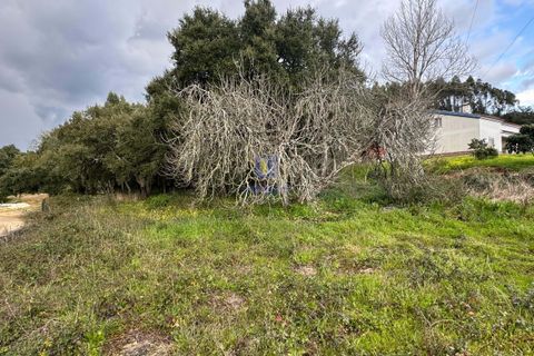Helårsgrund i Rio Maior, Santarem, Rio Maior - € 75.000 | Ref: CAL-216735 - foto 4