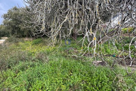 Helårsgrund i Rio Maior, Santarem, Rio Maior - € 75.000 | Ref: CAL-216735 - foto 7