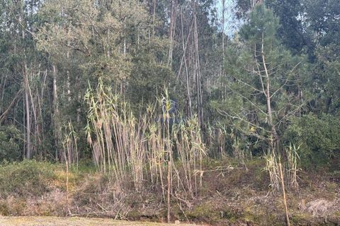 Helårsgrund i Rio Maior, Santarem, Rio Maior - € 75.000 | Ref: CAL-216735 - foto 8