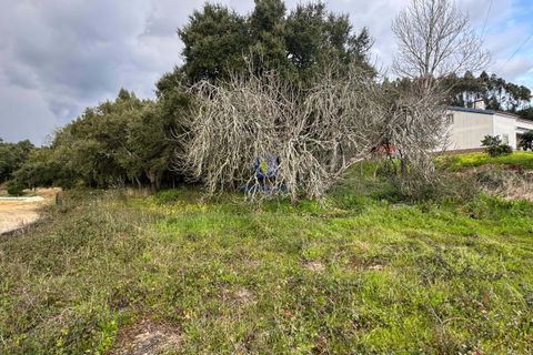Helårsgrund i Rio Maior, Santarem, Rio Maior - € 75.000 | Ref: CAL-216735 - foto 9