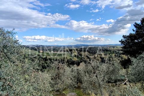 Landejendom i Palaia, Pisa, Palaia - € 450.000 | Ref: 1003-255C - foto 23