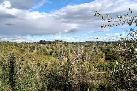 Landejendom i Palaia, Pisa, Palaia - € 450.000 | Ref: 1003-255C - foto 24