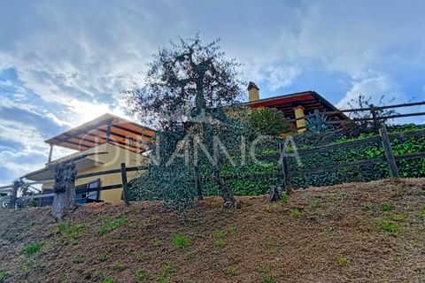 Landejendom i Palaia, Pisa, Palaia - € 450.000 | Ref: 1003-255C - foto 25