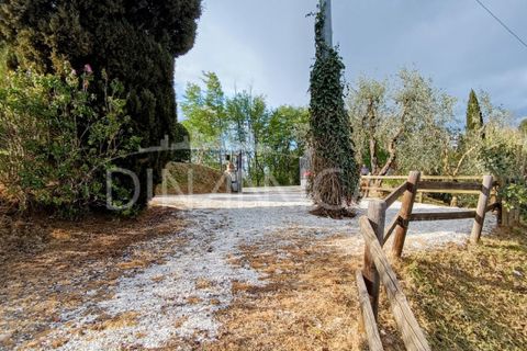 Landejendom i Palaia, Pisa, Palaia - € 450.000 | Ref: 1003-255C - foto 26