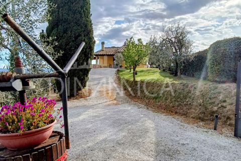 Landejendom i Palaia, Pisa, Palaia - € 450.000 | Ref: 1003-255C - foto 29