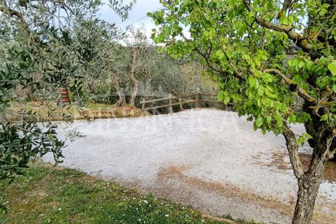 Landejendom i Palaia, Pisa, Palaia - € 450.000 | Ref: 1003-255C - foto 33