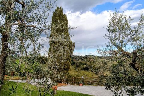 Landejendom i Palaia, Pisa, Palaia - € 450.000 | Ref: 1003-255C - foto 34