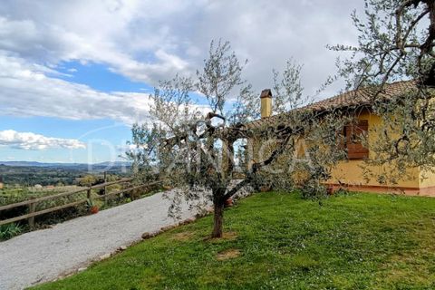 Landejendom i Palaia, Pisa, Palaia - € 450.000 | Ref: 1003-255C - foto 35
