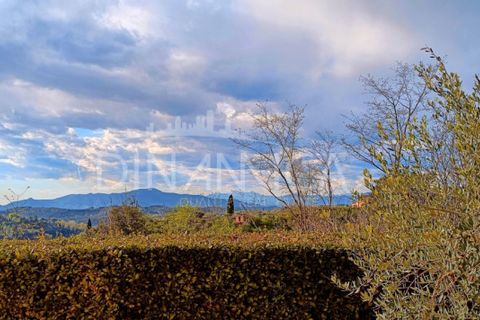 Landejendom i Palaia, Pisa, Palaia - € 450.000 | Ref: 1003-255C - foto 43