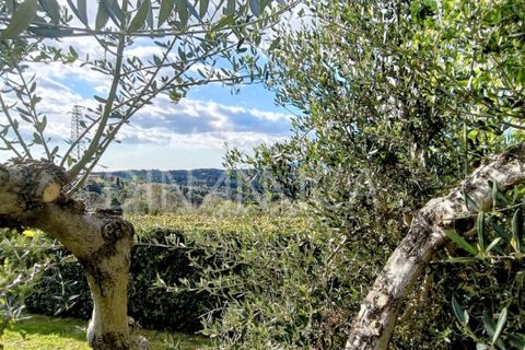 Landejendom i Palaia, Pisa, Palaia - € 450.000 | Ref: 1003-255C - foto 14
