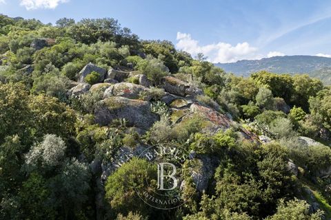 Terra a Porto-Vecchio, Corse-du-Sud, Porto-Vecchio - € 350.000 | Ref: RV1817 - foto 3