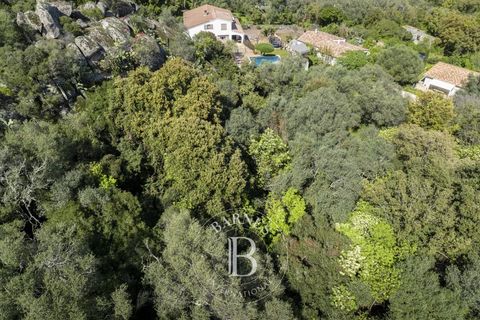 Terra a Porto-Vecchio, Corse-du-Sud, Porto-Vecchio - € 350.000 | Ref: RV1817 - foto 4
