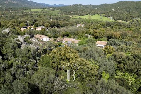 Terra a Porto-Vecchio, Corse-du-Sud, Porto-Vecchio - € 350.000 | Ref: RV1817 - foto 5