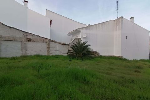 Terra a Almodovar, Beja, Almodovar - € 108.000 | Ref: C0358-00966 - foto 5
