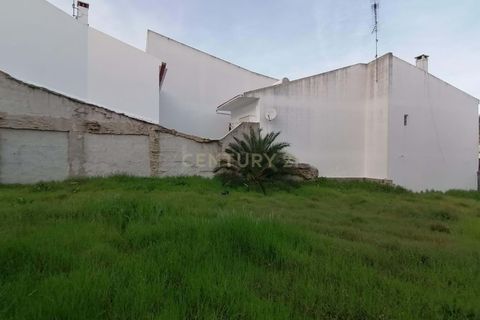 Terra a Almodovar, Beja, Almodovar - € 108.000 | Ref: C0358-00966 - foto 6
