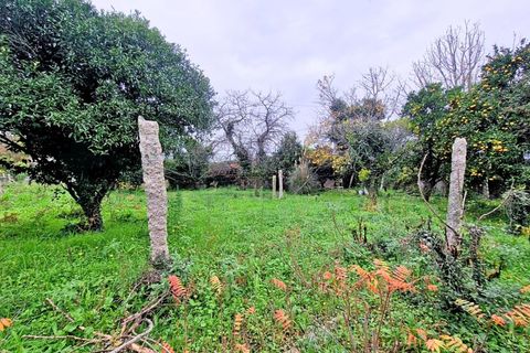 Helårsgrund i Bela, Viana do Castelo, Bela - € 55.500 | Ref: MNC1589T - foto 2