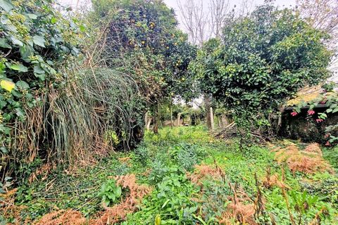 Helårsgrund i Bela, Viana do Castelo, Bela - € 55.500 | Ref: MNC1589T - foto 3