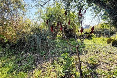 Helårsgrund i Bela, Viana do Castelo, Bela - € 55.500 | Ref: MNC1589T - foto 4