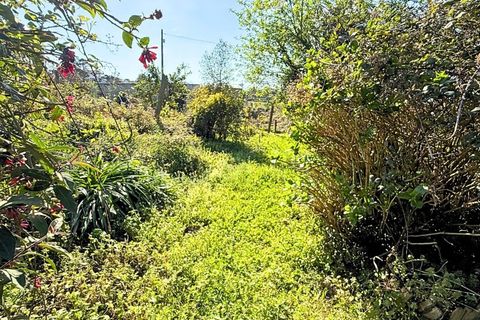 Helårsgrund i Bela, Viana do Castelo, Bela - € 55.500 | Ref: MNC1589T - foto 5