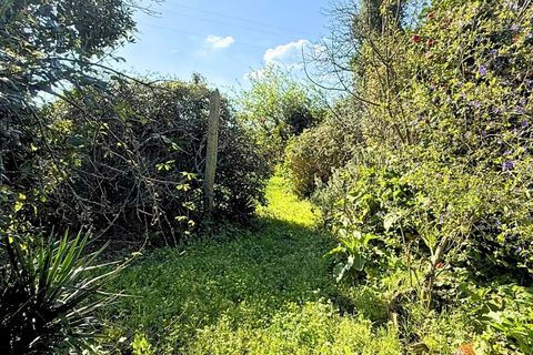 Helårsgrund i Bela, Viana do Castelo, Bela - € 55.500 | Ref: MNC1589T - foto 6