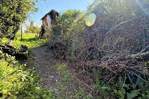 Helårsgrund i Bela, Viana do Castelo, Bela - € 55.500 | Ref: MNC1589T - foto 7