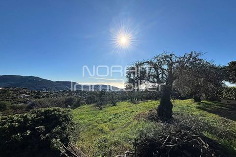 Terra em Nice, Alpes-Maritimes, Nice - € 1.980.000 | Ref: 85785875 - foto 6