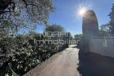 Terra em Nice, Alpes-Maritimes, Nice - € 1.980.000 | Ref: 85785875 - foto 14